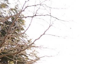 Photos and Video of CreekBridge Apartments - Salinas in Salinas, CA